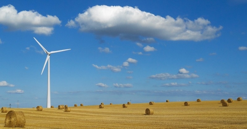 A Google sóval mentené meg a világot