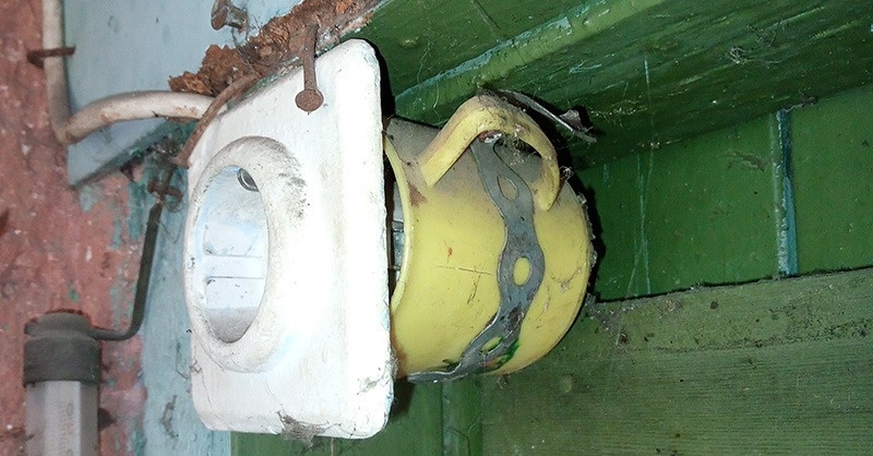 Határtalan kreativitás