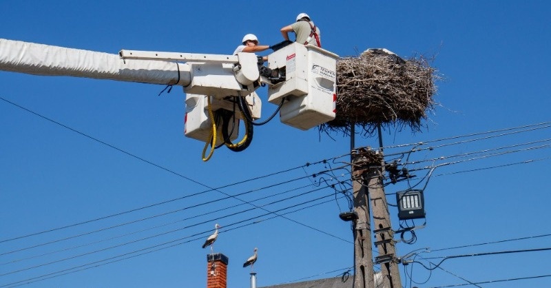 3300 fészek várja a gólyákat az E.ON áramhálózatán