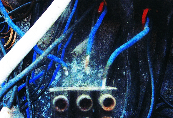 10. kép