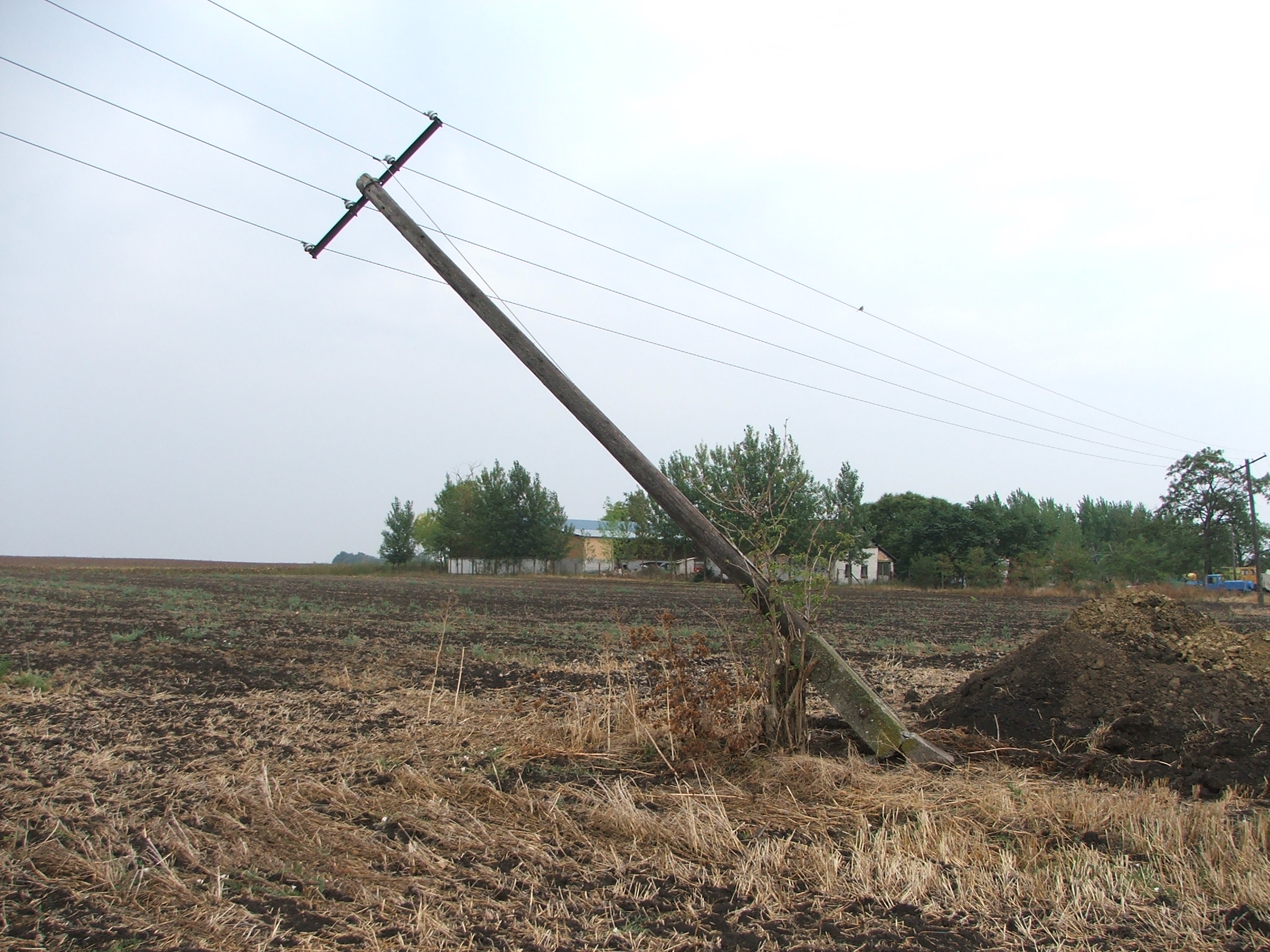 Úgy látszik, hogy a gyám rosszul viseli, ha nekimegy egy traktor. Beküldő: Mihály János 